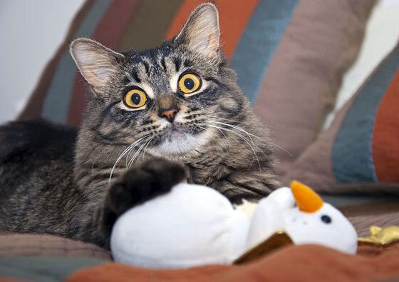 76人助教亲自示范无球走位技巧引好评，76人单场助攻纪录